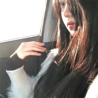 萌犬偷渡记